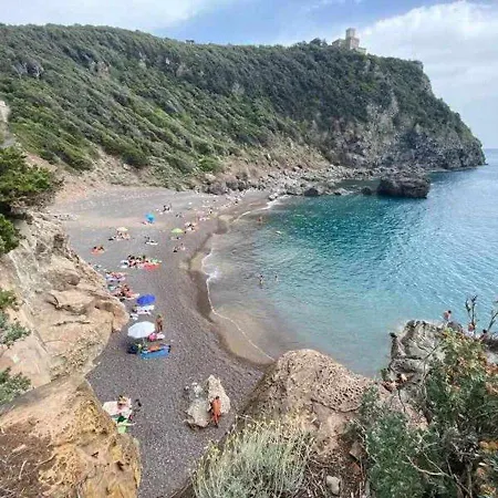 Tirrenia Pineta Lejlighed *