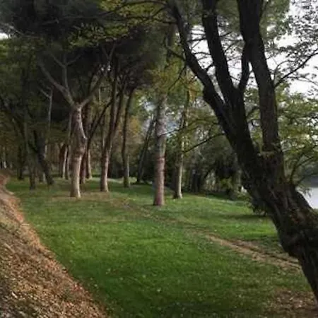 Tirrenia Pineta Lejlighed *