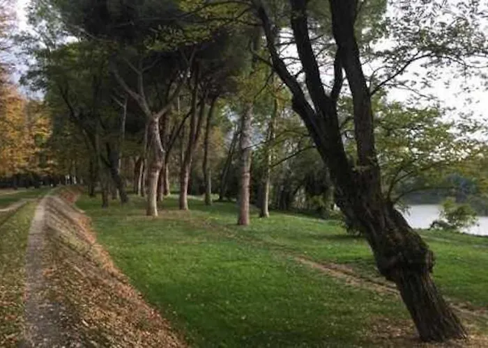 Tirrenia Pineta Appartement *