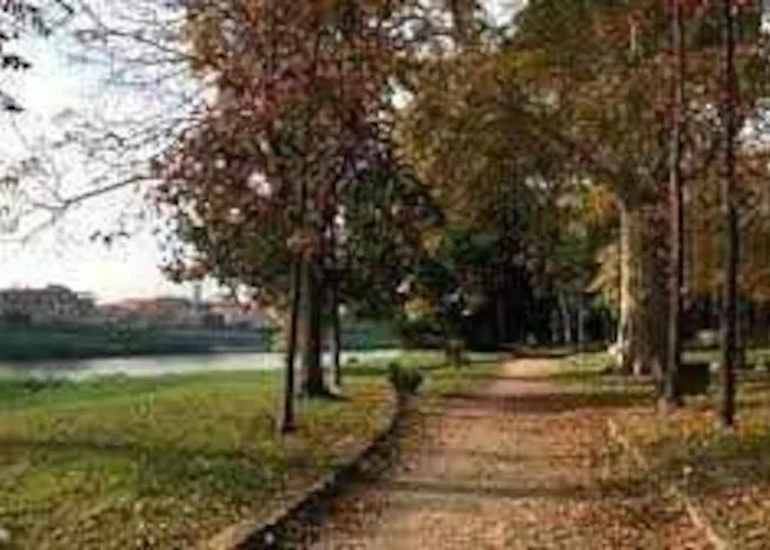 Tirrenia Pineta * Calambrone